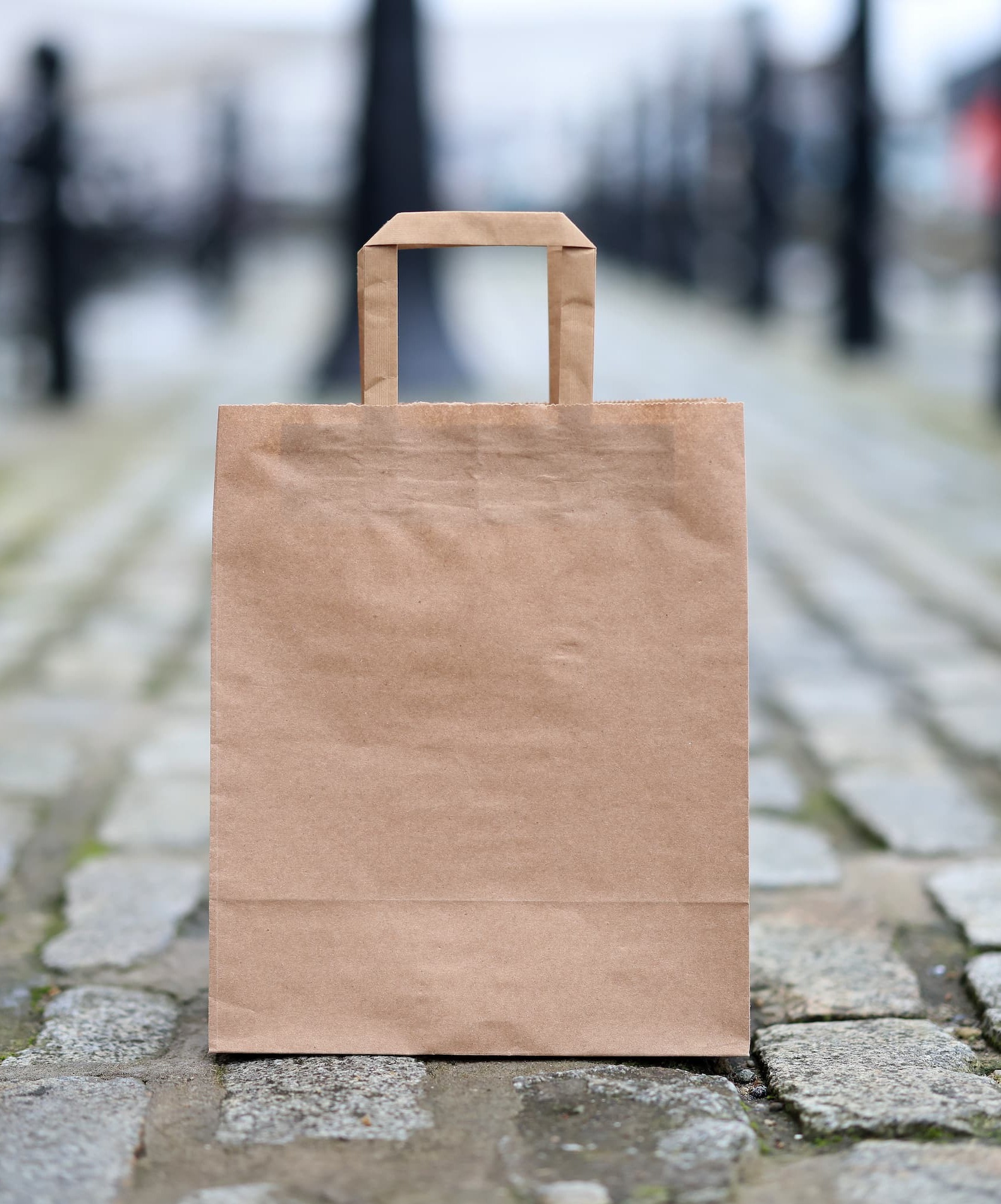 Flat Handle Paper Bags - Image 2